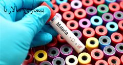 تاریخچه تب مالاریا در ایران